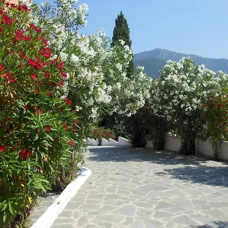 Appartement Ziogas Luxury