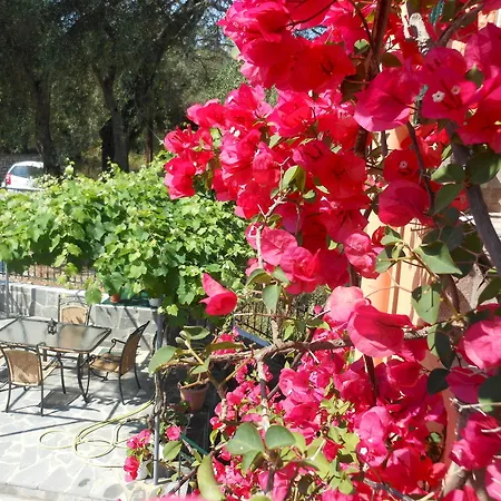 Appartement Ziogas Luxury Dassia (Corfu)