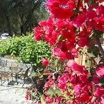 Apartment Ziogas Luxury Dassia (Corfu)