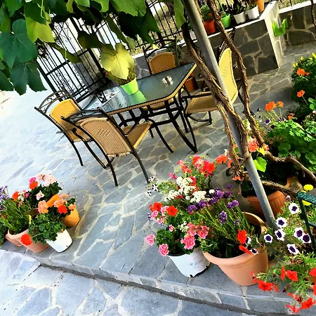Apartment Ziogas Luxury